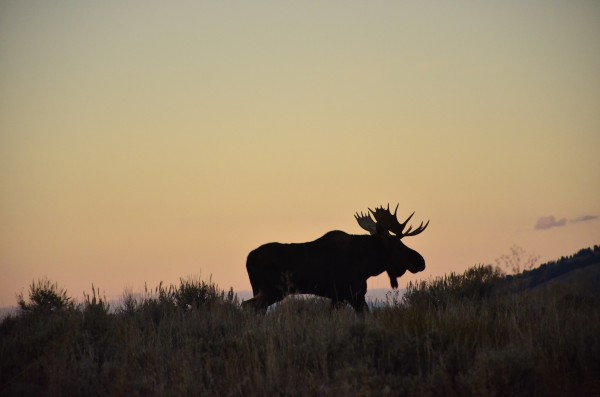 On the move by Dennis Blum